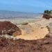 ¡Alarma en el Caribe! Cientos de peces aparecen muertos: la imagen que impacta a Puerto Morelos