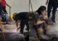 ¿Quién dijo que los héroes no existen? Bomberos arriesgan todo para salvar a Blacky