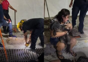 ¿Quién dijo que los héroes no existen? Bomberos arriesgan todo para salvar a Blacky