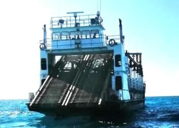 ¡Refuerzan la batalla contra el sargazo! Llega un “gigante del mar” para proteger las playas