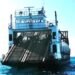 ¡Refuerzan la batalla contra el sargazo! Llega un “gigante del mar” para proteger las playas
