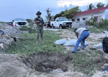 Proteger cada arribada importa: recuperan miles de huevos de tortuga en Oaxaca