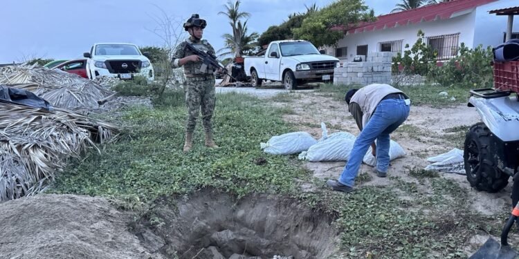 Proteger cada arribada importa: recuperan miles de huevos de tortuga en Oaxaca