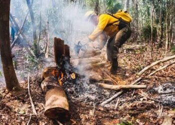 ¿Dónde están los incendios activos en Quintana Roo? Conafor reporta 190 hectáreas afectadas