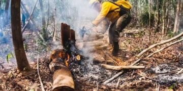 ¿Dónde están los incendios activos en Quintana Roo? Conafor reporta 190 hectáreas afectadas
