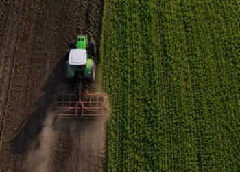 Precios dan tregua en julio, pero no para todos: así se movieron para productores y consumidores