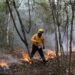 Reportan incendio forestal afecta 16 hectáreas en Solidaridad; Conafor despliega a 11 combatientes
