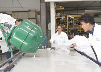 ¿Una solución al sargazo? La UNAM transforma hasta 60 kilos de alga húmeda en un panel