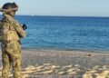 ¡A salvo! Ponen bajo resguardo 10 mil huevos de tortuga golfina en Los Cabos