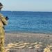 ¡A salvo! Ponen bajo resguardo 10 mil huevos de tortuga golfina en Los Cabos