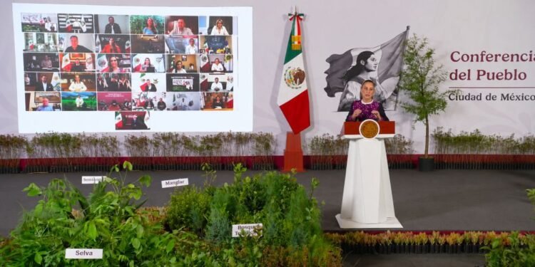 Miles de árboles volverán al sur de Quintana Roo; así será la gran jornada de reforestación nacional
