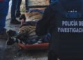 ¿Querían quitarle las garras? Así encontraron a un tigre de Bengala víctima de maltrato
