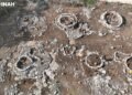¿Qué hacían los mayas cerca de Progreso hace más de 2 mil años? Este hallazgo da pistas