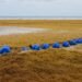 Sargazo amenaza con seguir creciendo: UNAM alerta por impacto turístico y ambiental