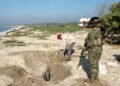 Hallan 9,500 huevos de tortuga abandonados entre las dunas de Playa Morro Ayuta