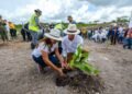 ¡Quintana Roo se pinta de verde! Siembran más de 12 mil árboles en jornada de reforestación
