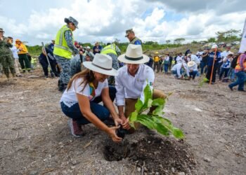 ¡Quintana Roo se pinta de verde! Siembran más de 12 mil árboles en jornada de reforestación