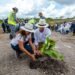 ¡Quintana Roo se pinta de verde! Siembran más de 12 mil árboles en jornada de reforestación