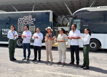 ¿A qué hora sale el Tren Maya de Cancún a Playa del Carmen? Estos son los horarios