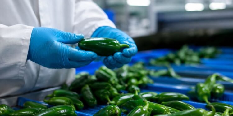 EU ordena retirar estos jalapeños mexicanos; la FDA revela por qué