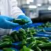 EU ordena retirar estos jalapeños mexicanos; la FDA revela por qué