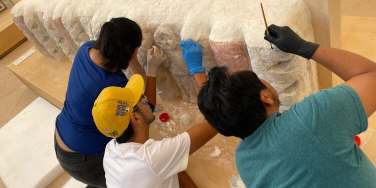 Guardianes del pasado: estudiantes conocen el trabajo detrás de la conservación