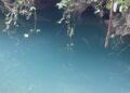 Lo dieron por perdido… ¿pero cómo logró sobrevivir 15 días bajo tierra?
