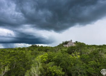 ¿Calakmul, en riesgo? Unesco dice que no existen condiciones para incluirlo en lista de peligro
