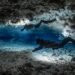 Arqueología bajo el agua en Quintana Roo; así investigarán cuevas y cenotes de difícil acceso