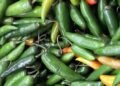 Alerta por jalapeños pone a prueba los controles sanitarios: inician inspección en Nuevo León