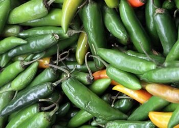 Alerta por jalapeños pone a prueba los controles sanitarios: inician inspección en Nuevo León