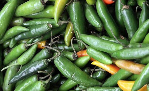 Alerta por jalapeños pone a prueba los controles sanitarios: inician inspección en Nuevo León
