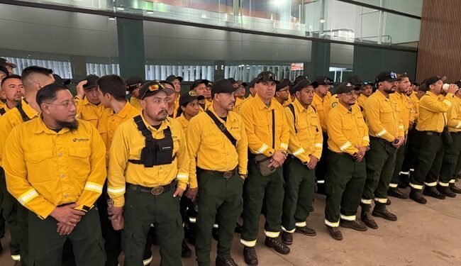 ¿Quién combate los incendios en Canadá? También hay manos mexicanas
