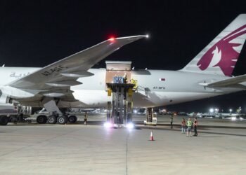 ¿Siete horas en el aire para vivir? Así fue el extraordinario viaje de seis cetáceos a España
