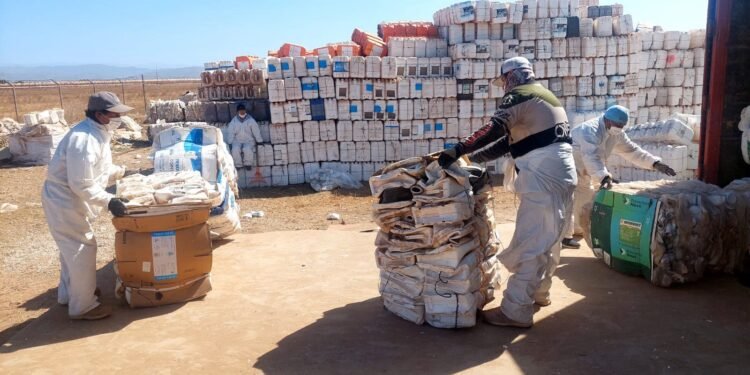 ¿Cómo evitar que los plaguicidas dañen el campo? Baja California retira 70 toneladas de envases