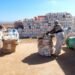 ¿Cómo evitar que los plaguicidas dañen el campo? Baja California retira 70 toneladas de envases