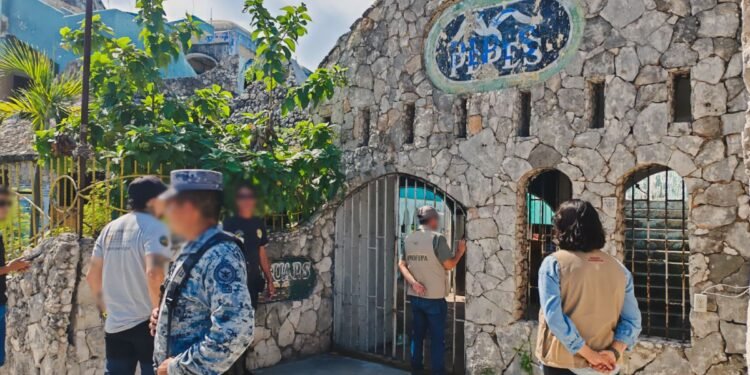 Misterio felino en Cancún: Profepa busca un jaguar, pero le cierran la puerta