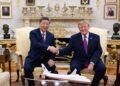 Dos nuevos gigantes llegan a Atlanta: China anuncia el regreso de los pandas