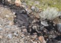 Más de 18 horas de emergencia: así controlaron derrame de ácido sulfúrico en Sonora