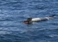 Pensaron que era sargazo y era un torpedo: así fue el hallazgo frente a Ensenada