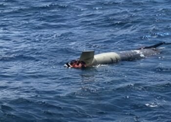 Pensaron que era sargazo y era un torpedo: así fue el hallazgo frente a Ensenada