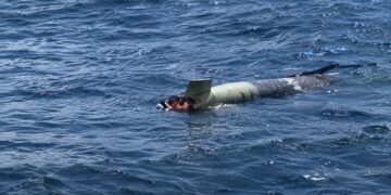 Pensaron que era sargazo y era un torpedo: así fue el hallazgo frente a Ensenada