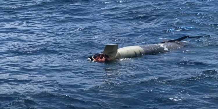 Pensaron que era sargazo y era un torpedo: así fue el hallazgo frente a Ensenada