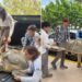¡La encontraron herida! Tortuga marina es rescatada en plena Zona Hotelera de Cancún