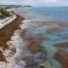 El costo del sargazo crece en Quintana Roo: piden política permanente para combatirlo