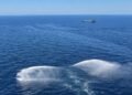 ¡Emergencia en altamar! Activan plan por derrame de petróleo en el Golfo de México