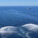 ¡Emergencia en altamar! Activan plan por derrame de petróleo en el Golfo de México