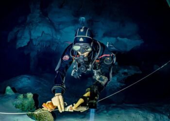 Del mar a los cenotes sin tantas complicaciones: Quintana Roo ajusta atención a turistas de buceo