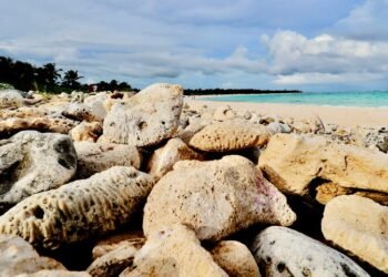 Más vigilancia para Xcacel-Xcacelito: así reforzarán la protección del santuario de tortugas