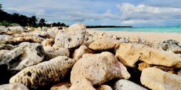 Más vigilancia para Xcacel-Xcacelito: así reforzarán la protección del santuario de tortugas